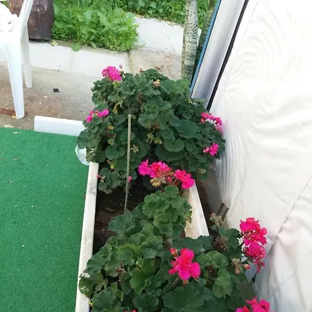 Entire Garden Studio 1km From The Sea * Larnaca
