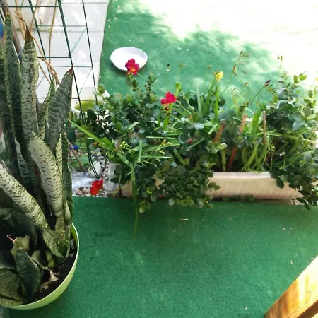 Entire Garden Studio 1km From The Sea Διαμέρισμα