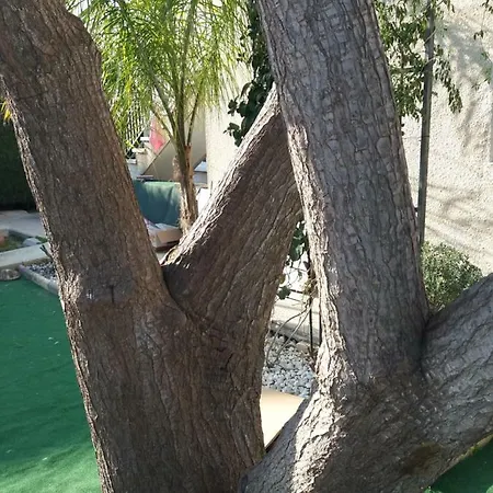 Entire Garden Studio 1km From The Sea *