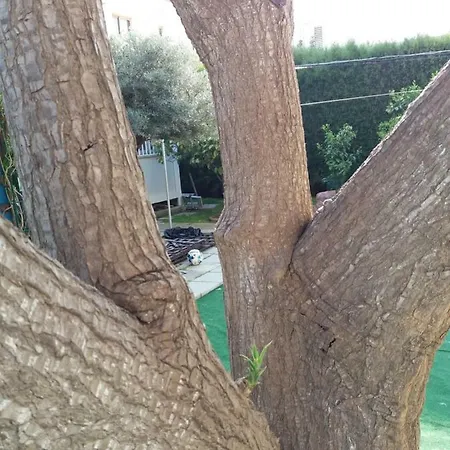 Apartment Entire Garden Studio 1km From The Sea
