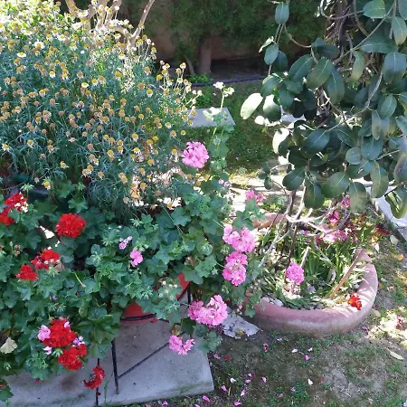 Entire Garden Studio 1km From The Sea Apartment